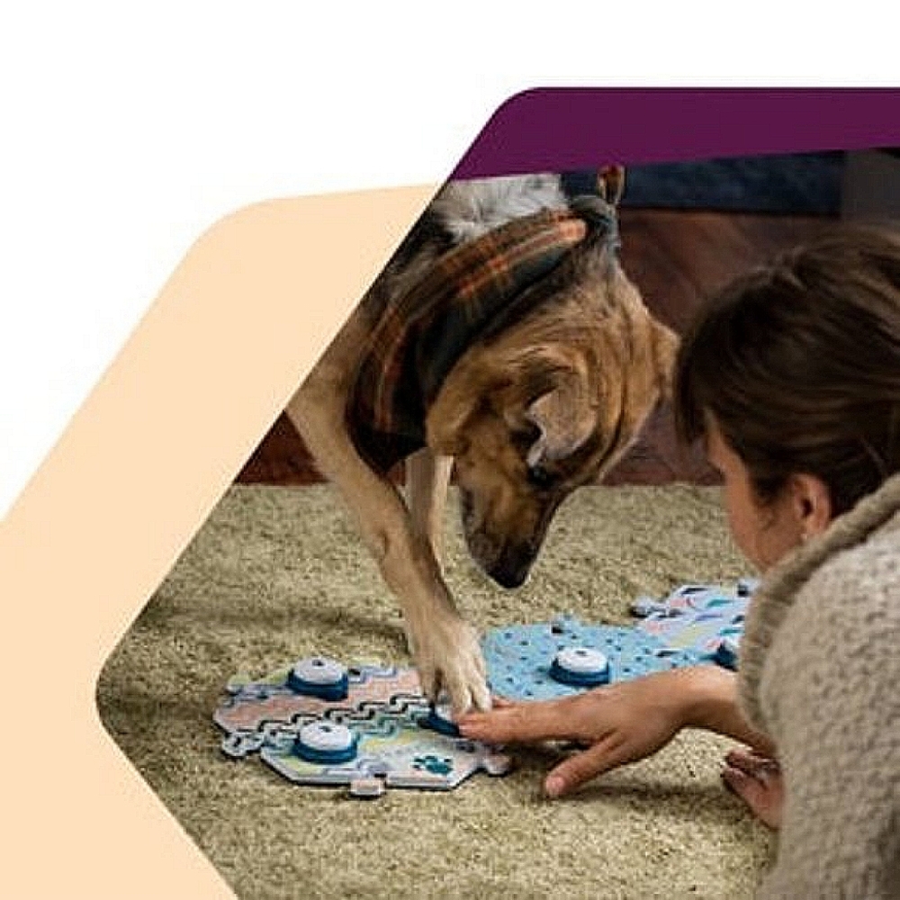 Fluent Pet Button (Great Gift for Pet Owners!) - Picture 4 of 13